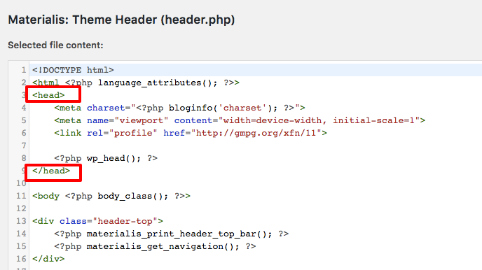 elemento <head> nel file header.php